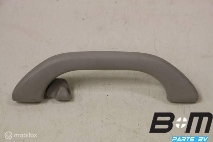 Handgreep in hemel RA (bijrijderskant) VW Passat 3BG, Gebruikt