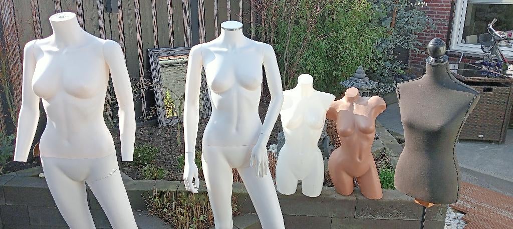 Etalagepoppen, bustes en paspop te koop, Ophalen, Gebruikt, Paspop