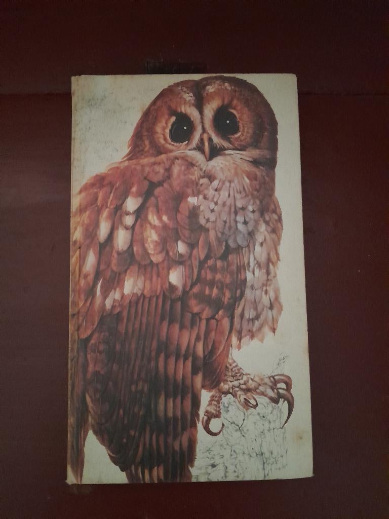 ~ Readers Digest - Het Beste Vogelboek, Boeken, Ophalen of Verzenden, Gelezen, Vogels