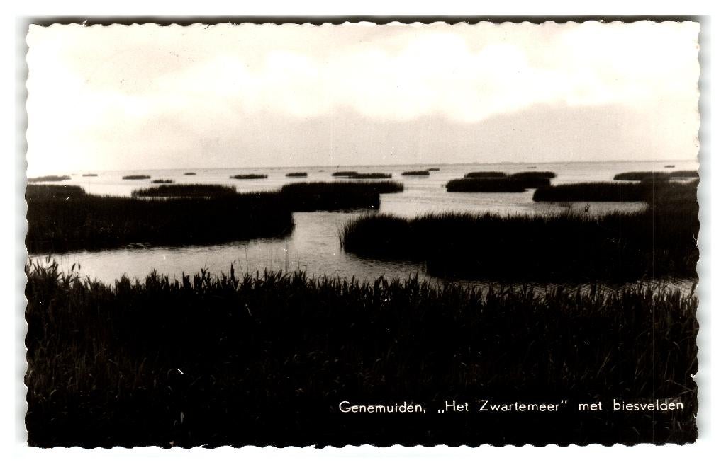 Genemuiden, "Het Zwartemeer" met biesvelden, Verzamelen, Ansichtkaarten | Nederland, Verzenden, 1960 tot 1980, Gelopen, Overijssel