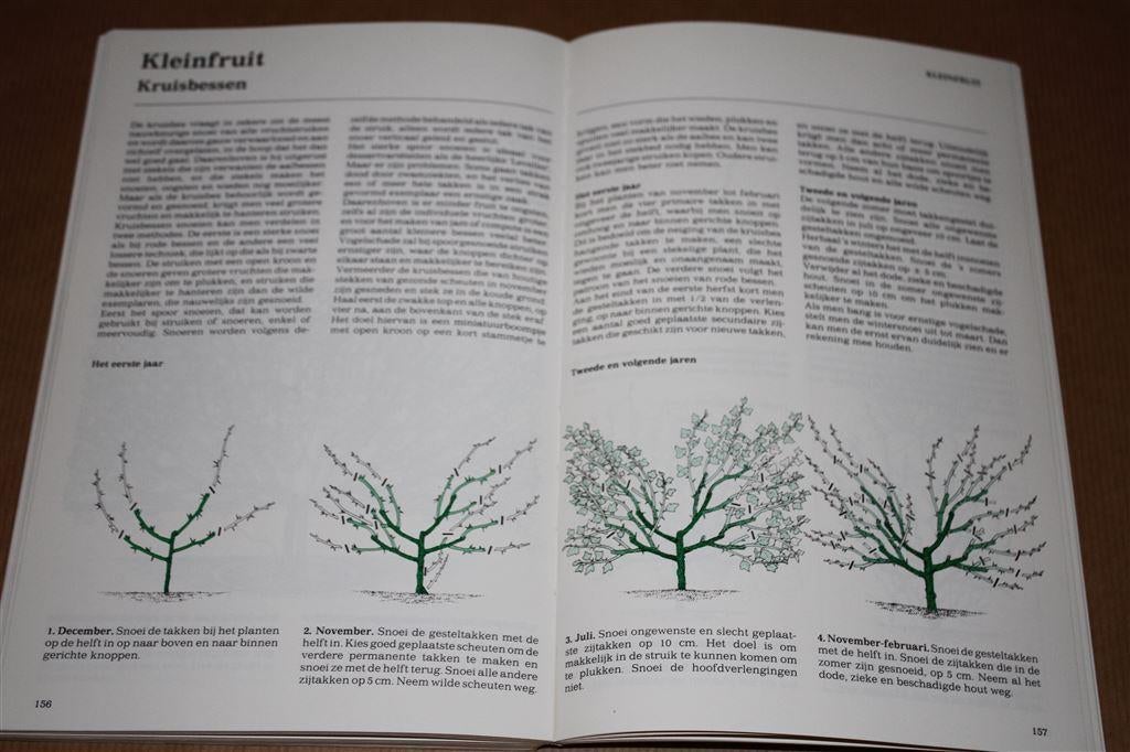 Groenboekerij: Stap-voor-stap-gids. Snoeien., Boeken, Ophalen of Verzenden, Gelezen