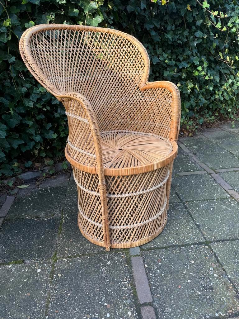 Vintage Rotan Pauwenstoel - Middelgroot Formaat, Gebruikt, Bruin, Riet of Rotan, Ophalen of Verzenden