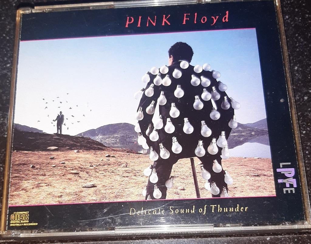 Pink Floyd delicate sound of thunder 2cd, Ophalen of Verzenden, Zo goed als nieuw, Progressive