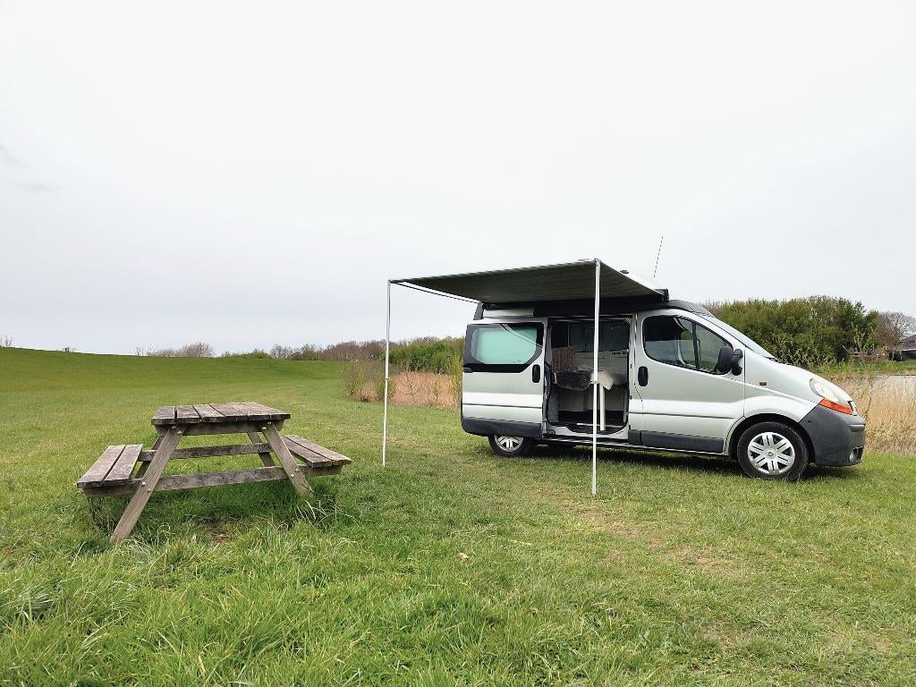 Renault Traffic 2.5 DCI - Camperbus, Auto's, 2000 kg, Bedrijf, Grijs, Euro 4