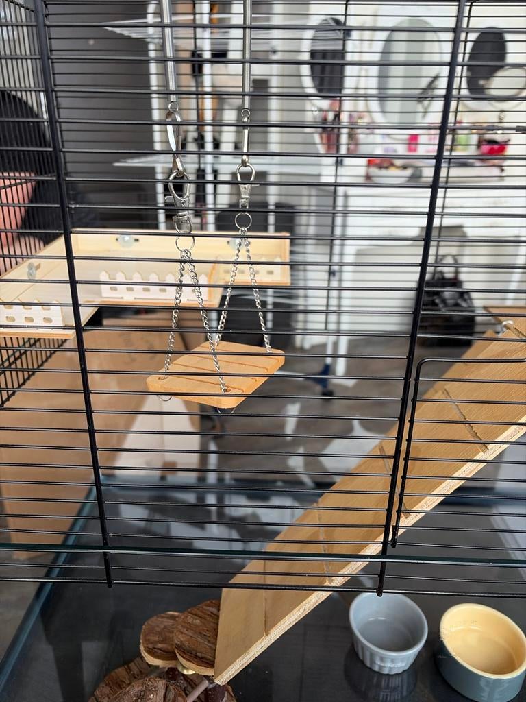 Mooie knaagdierkooi met glazen bak en houten inrichting, Kooi, 60 tot 90 cm, Ophalen of Verzenden, Muis