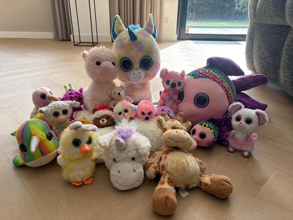 Diverse meisjes knuffels, Ophalen, Overige karakters, Overige typen, Zo goed als nieuw