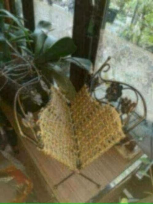 Woon accesoires huiskamer, Antiek en Kunst, Curiosa en Brocante, Ophalen of Verzenden