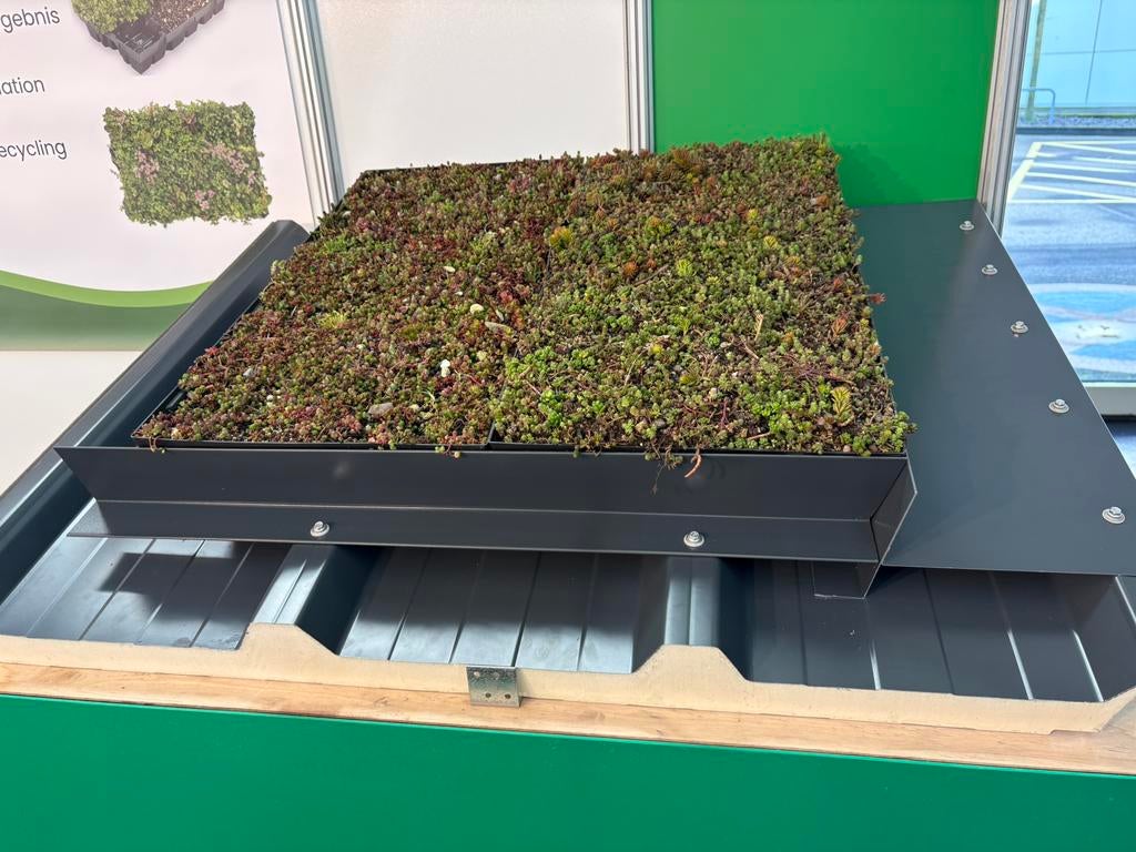 Tuinonderhoud, Sedum plaatsen, Terrein onderhoud, Tuinonderhoud of Snoeiwerk