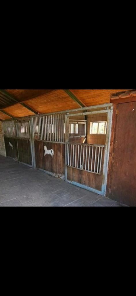 Prive stalling met weidegang, Weidegang