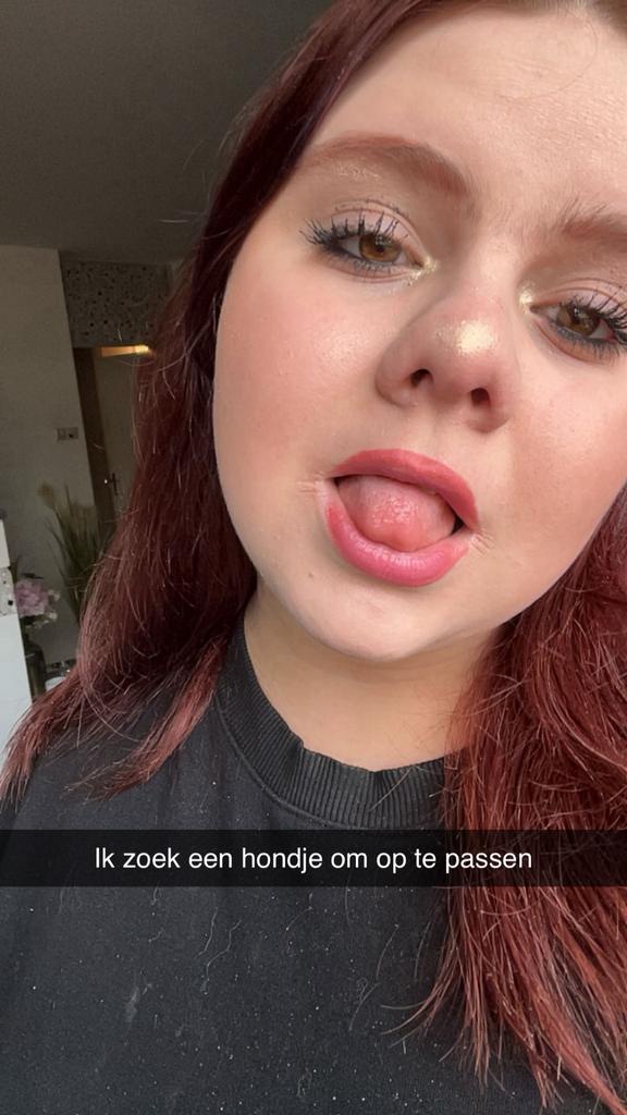 Honden oppas, Vacatures, Overige vormen