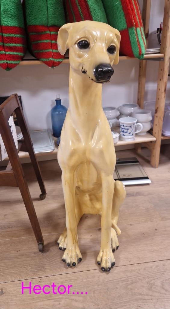 Grote Bassano Windhond Beeld - Vintage Keramiek, Ophalen, Zo goed als nieuw, Dier