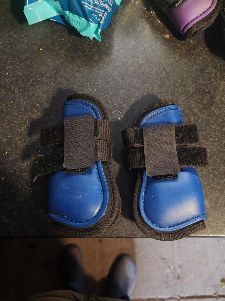 Peesjes maar shetlander, Dieren en Toebehoren, Ophalen of Verzenden