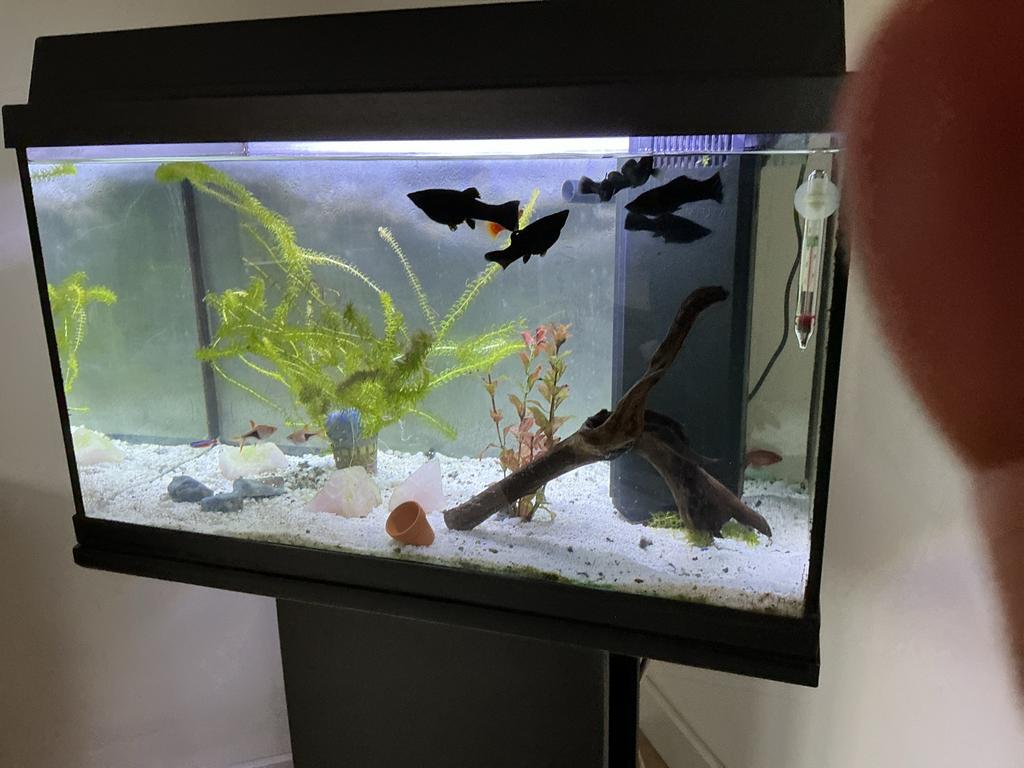 Aquarium, Ophalen of Verzenden, Gebruikt, Grind, Zand of Voedingsbodem