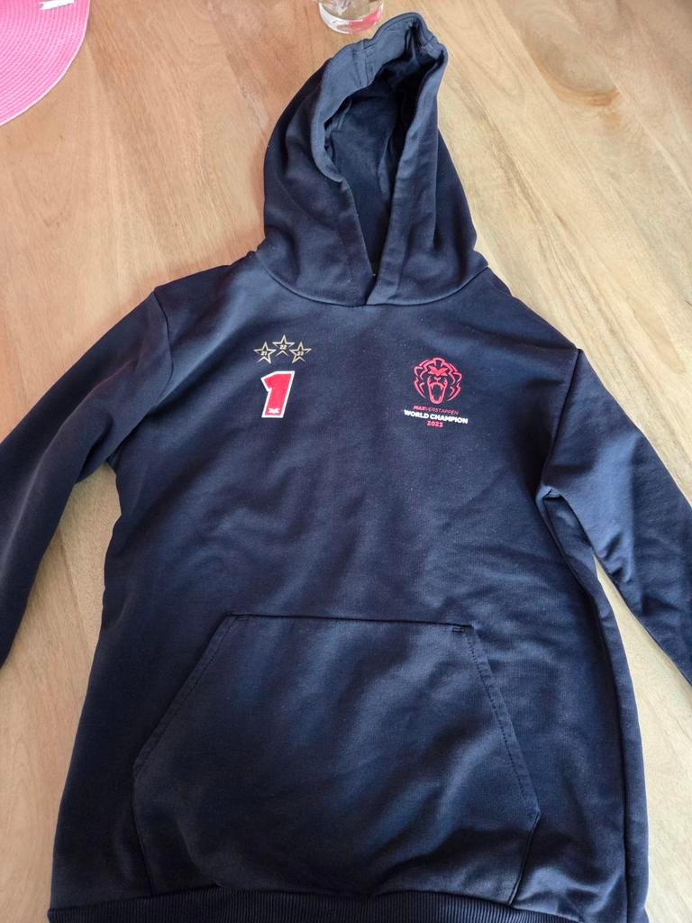 Max Verstappen trui maat 164 - World Champion 2023, Jongen of Meisje, Trui of Vest, Ophalen of Verzenden, Zo goed als nieuw