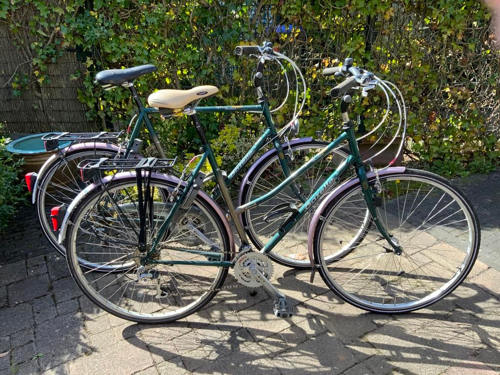 Gazelle Bahia, een dames- en een herenmodel, Fietsen en Brommers, Ophalen