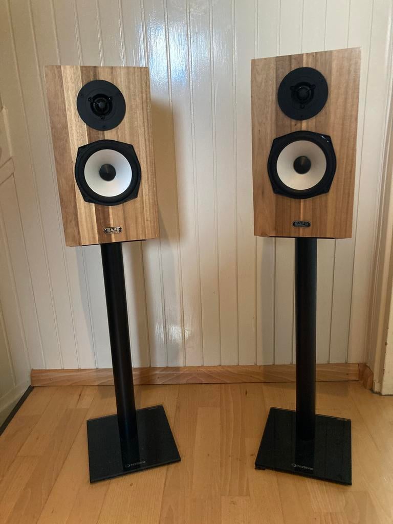 Prachtige  unieke set Acoustic Energy Speakers, met stands, Zo goed als nieuw, 60 tot 120 watt, Front, Rear of Stereo speakers