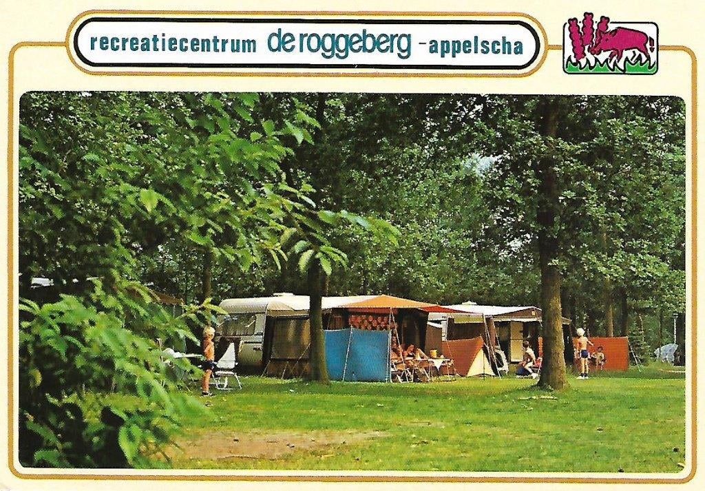 Appelscha- -De Roggeberg., Verzenden, 1980 tot heden, Gelopen, Friesland