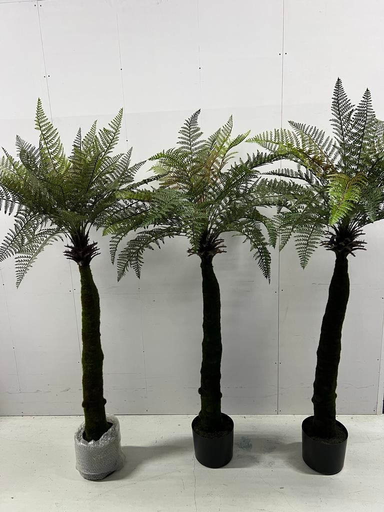 Palmen in Pot Dicksonia kunstpalmen, Palm, Ophalen of Verzenden, In pot, 150 tot 200 cm