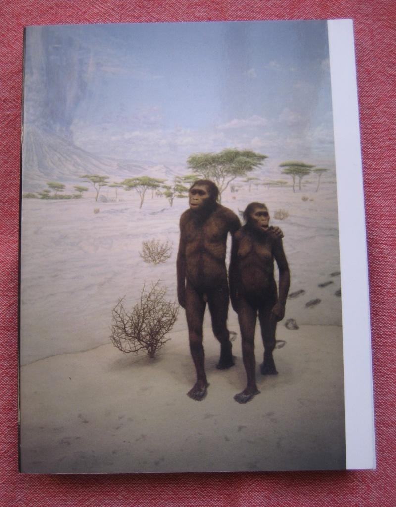 Evidence - Jan Dietvorst en Roy Villevoye, Ophalen of Verzenden, Overige onderwerpen