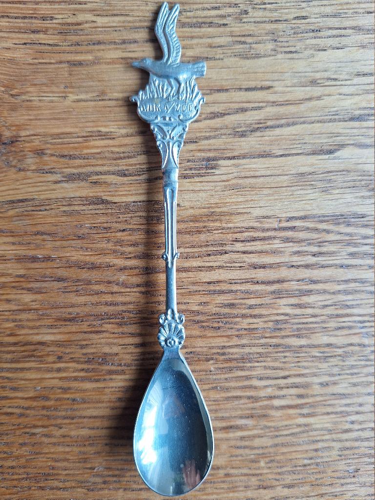 Theelepel Wijk aan zee, Huis en Inrichting, Ophalen, Zo goed als nieuw, Rvs of Chroom, Vaatwasserbestendig