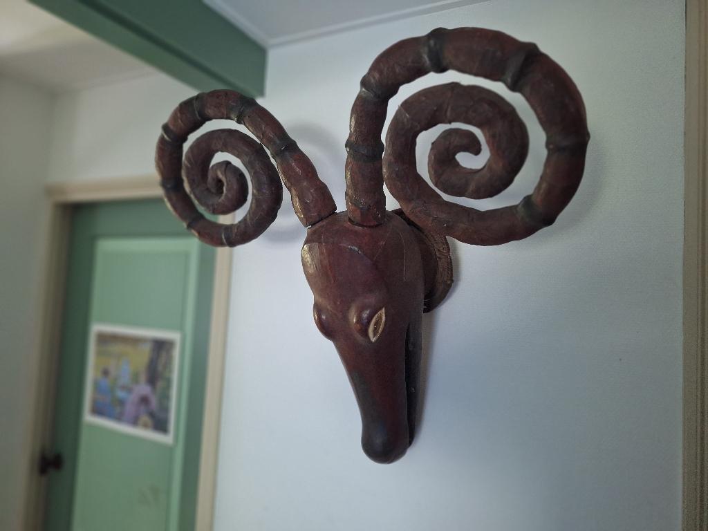 Ekoi dierenmasker Nigeria etnografica Afrika masker tribaal, Ophalen