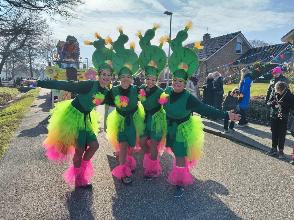 Cactus carnaval prikkelbaar carnavalskleding 4 jurken hoeden, Ophalen, Zo goed als nieuw, Maat 38/40 (M), Carnaval