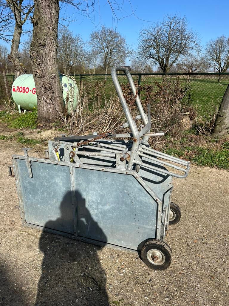 Behandelbox Kantelaar met kantelondersteuning Schapen/geiten, Dieren en Toebehoren, Vrouwelijk, Schaap