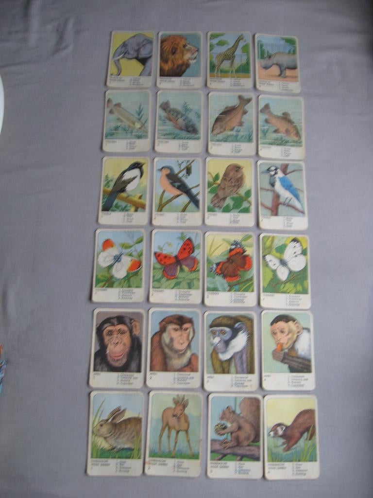 1 kwartetspel met 6 kwartetten in oude spelling -geen doosje, Ophalen of Verzenden, Gebruikt, Speelkaart(en)