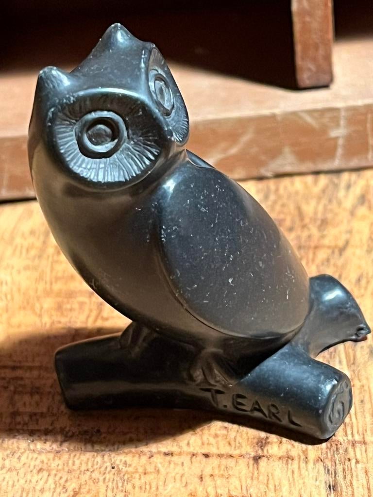 Stenen uiltje T. Earl beeldje 5,5 cm hoog, Ophalen of Verzenden, Zo goed als nieuw, Dier