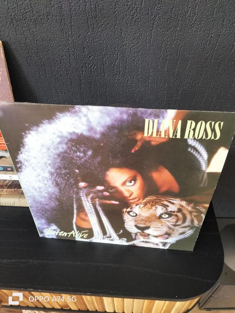 LP Diana Ross - Eaten Alive (1985), Ophalen, 1980 - 1989, Gebruikt, 12 inch