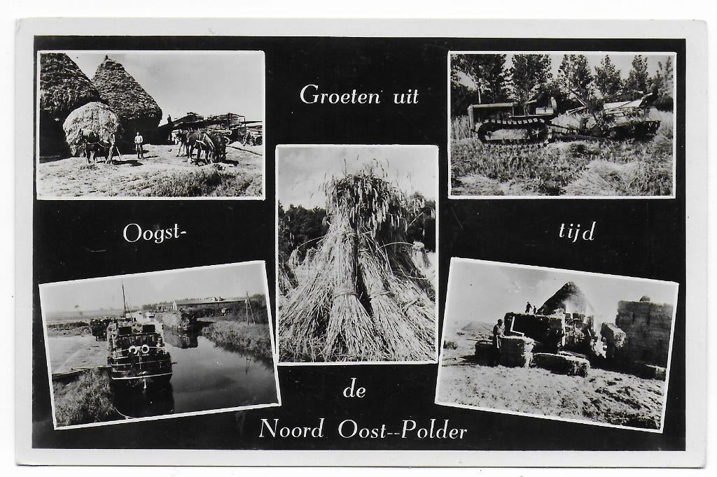Noord Oost Polder  Ansichtkaart uit 1954   ( B7740 ), Verzenden, 1940 tot 1960, Gelopen, Zeeland