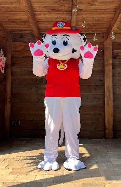 Marshall van Paw Patrol mascottekostuum te huur voor feestje, Ophalen of Verzenden, Zo goed als nieuw, Overige