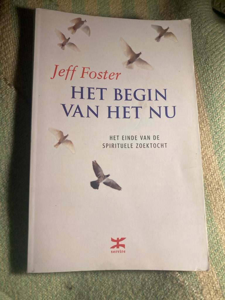 Het Begin van het Nu - Jeff Foster, Boeken, Esoterie en Spiritualiteit, Zo goed als nieuw, Achtergrond en Informatie, Spiritualiteit algemeen