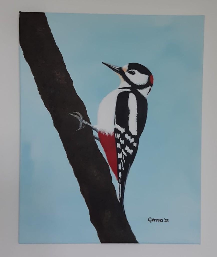 Specht, zelf geschilderd op doek met acryl, Ophalen