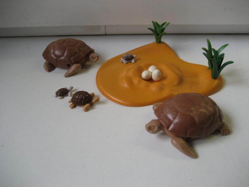 playmobil schildpadden met jongen en eieren, Ophalen of Verzenden, Zo goed als nieuw