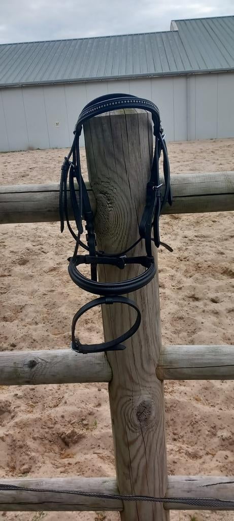 Star daimond hoofdstel, Ophalen of Verzenden, Zo goed als nieuw, Recreatie