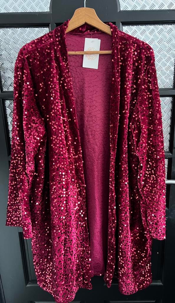 Rood, blauw, bruin vest glitter pailetten nieuw, Ophalen of Verzenden, Nieuw, Blauw, Trui of Vest