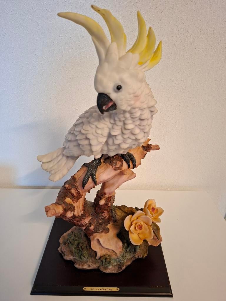 Kaketoe, Ophalen of Verzenden, Dier