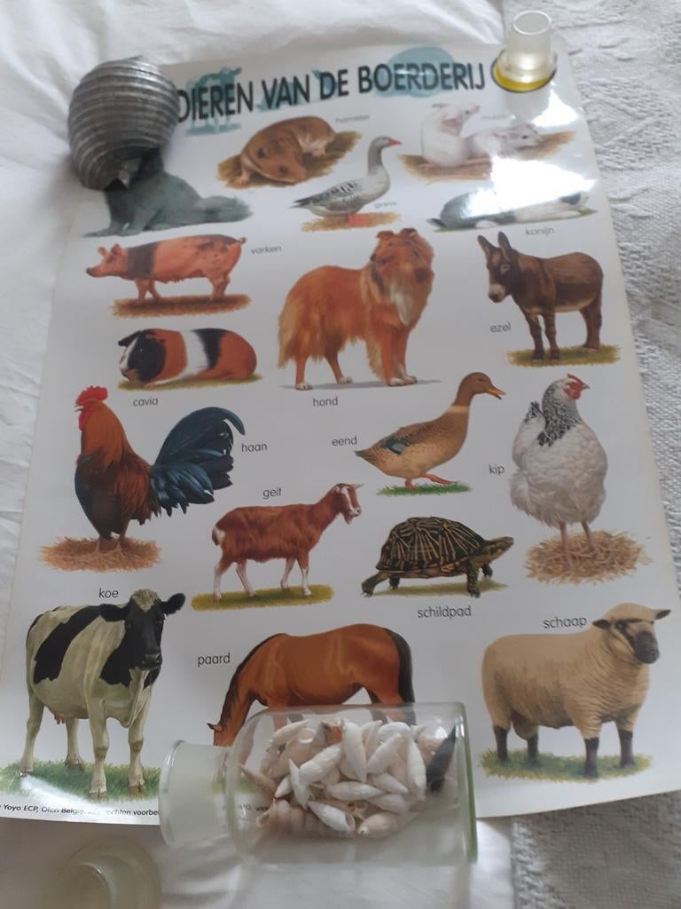 Oude schoolplaten, Ophalen