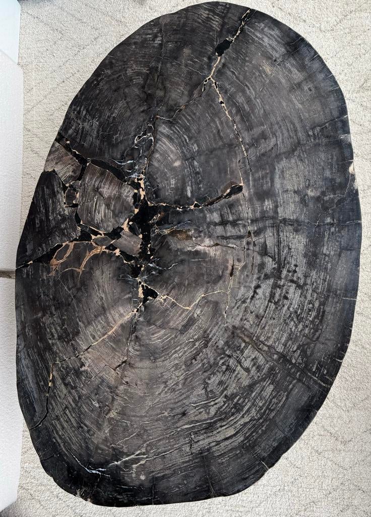 Unieke Versteend Houten Salontafel - Zwart/Grijs, Ophalen, Gebruikt, 100 tot 150 cm, 50 tot 100 cm