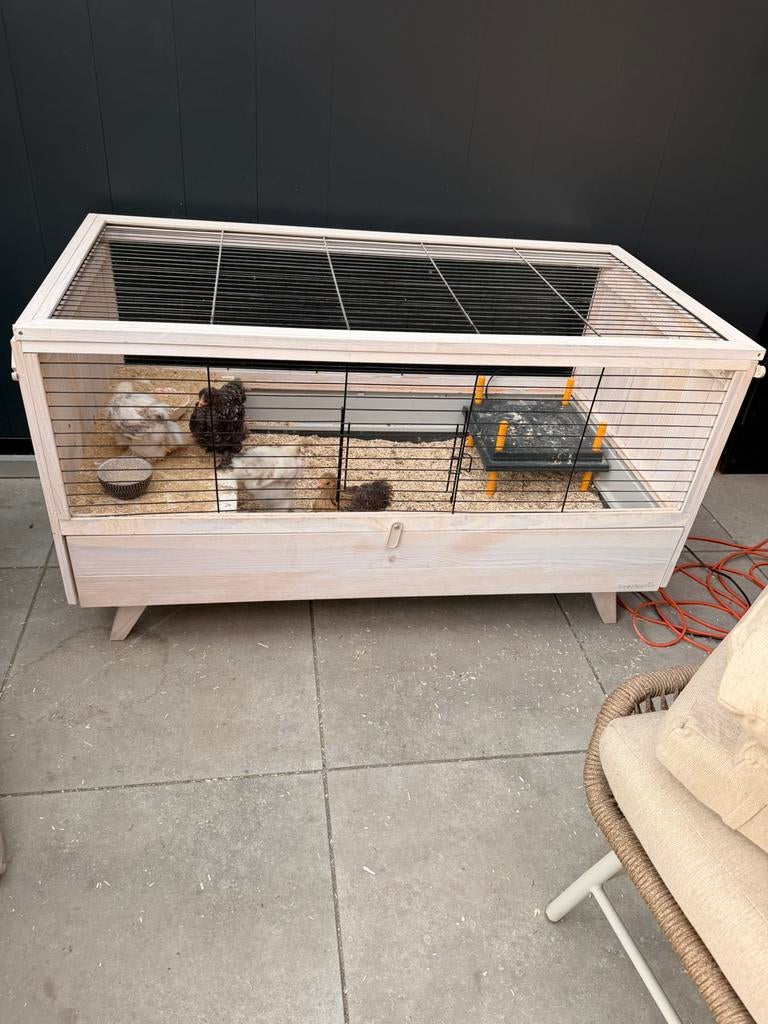 Beeztees dierenverblijf, Ophalen, Hamster, 60 tot 90 cm, Hok