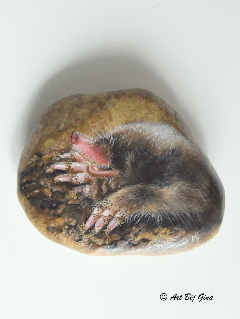 De Mol.... Unieke hand beschilderde riviersteen, Ophalen of Verzenden