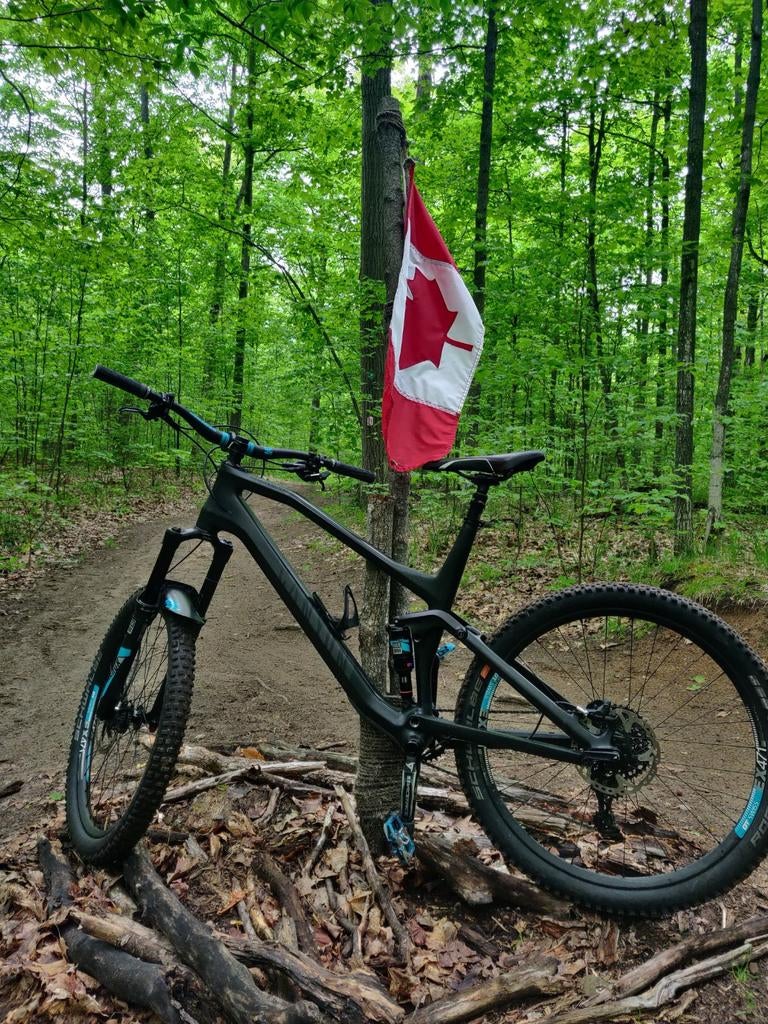 Canyon Spectral CF8 EX - Full Suspension Mountainbike, Gebruikt, 53 tot 57 cm, Ophalen, Overige merken