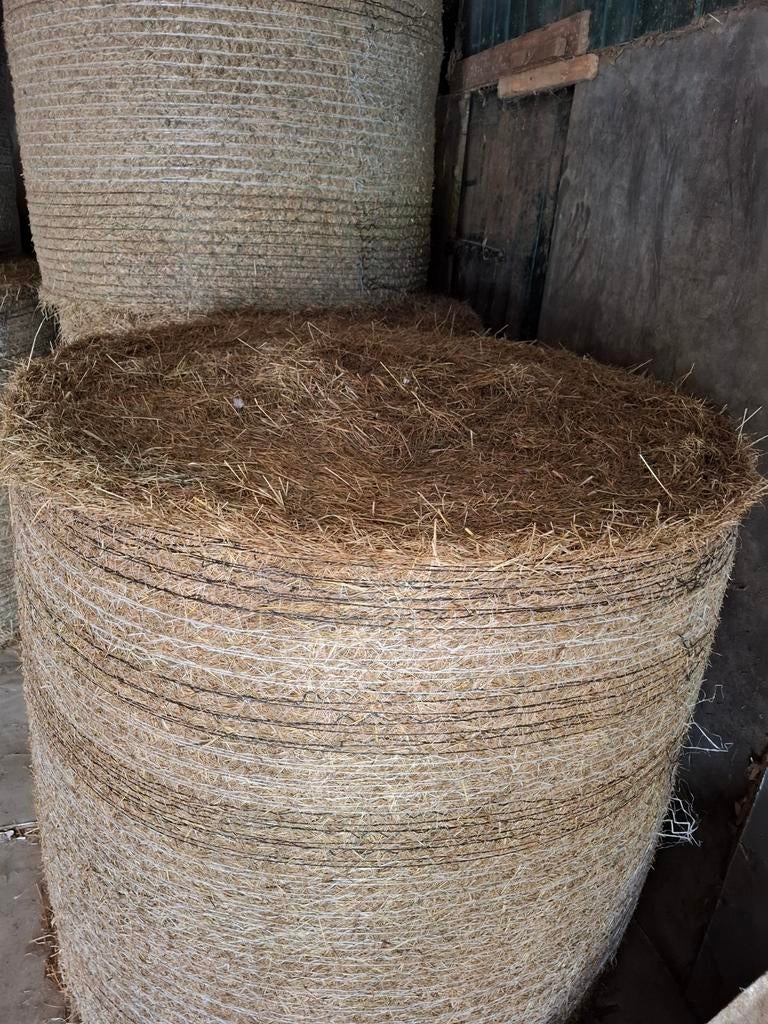 Hooibalen, Dieren en Toebehoren, Ophalen of Verzenden