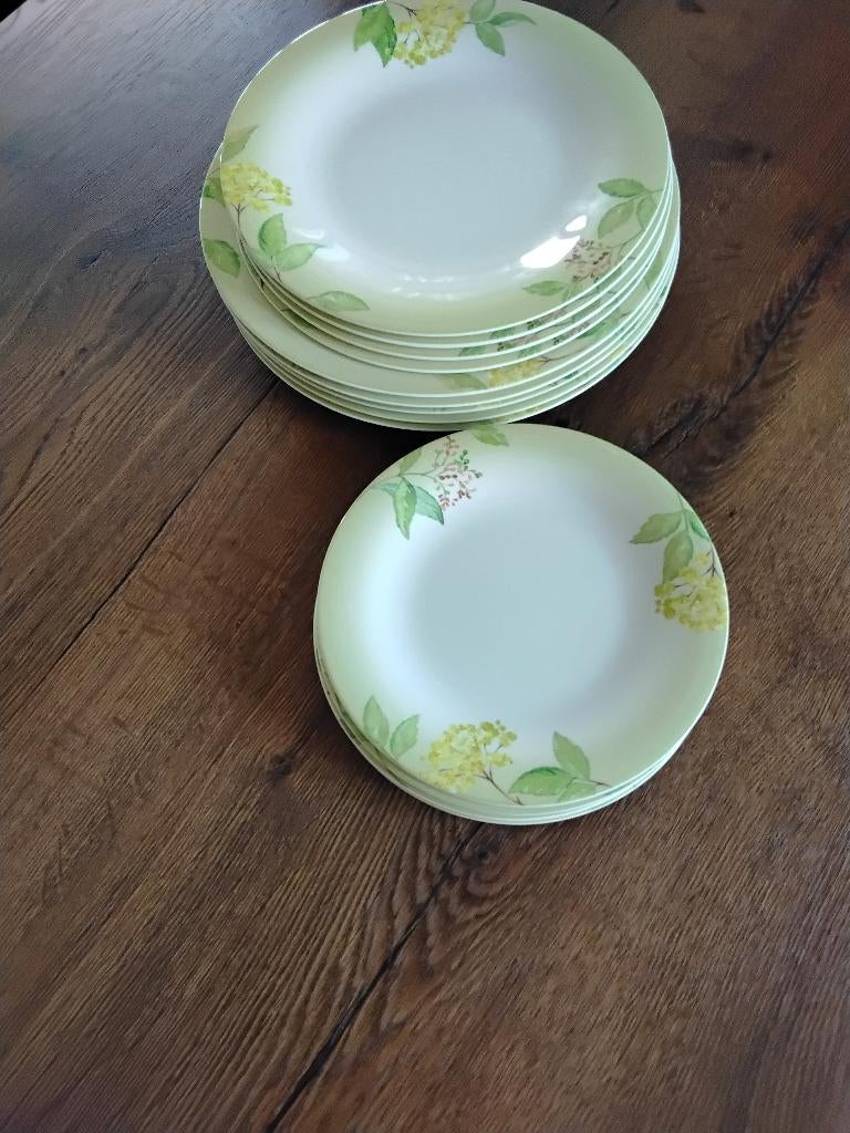 Villeroy en Boch Green Garland, Ophalen, Nieuw, Bord(en), Overige stijlen