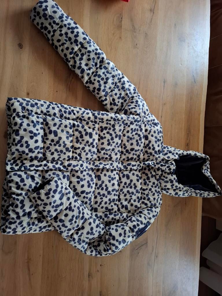 Mc Gregor winterjas / ski jas maat 176/XS, Ophalen of Verzenden, Gebruikt, Mc Gregor, Jongen of Meisje