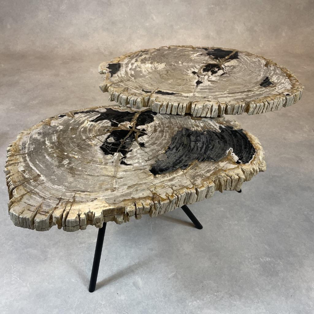 Versteend Hout Salontafels, Ophalen of Verzenden, Nieuw