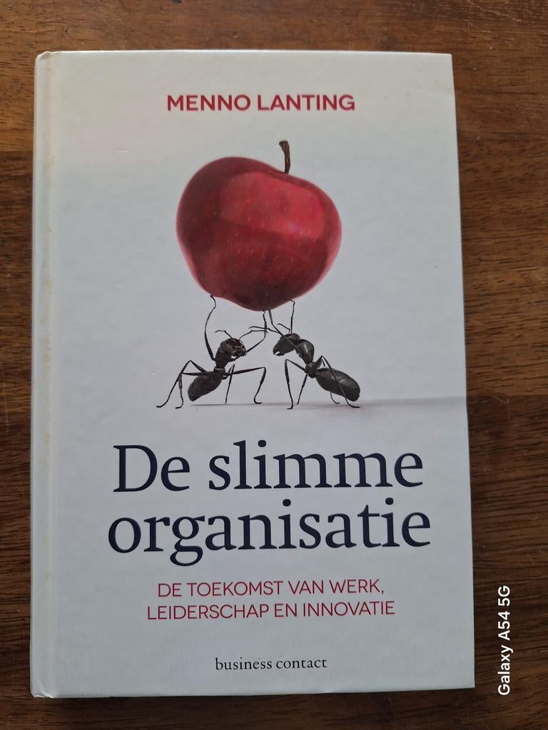 De Slimme Organisatie - Menno Lanting, Ophalen of Verzenden, Zo goed als nieuw, Management, Menno Lanting