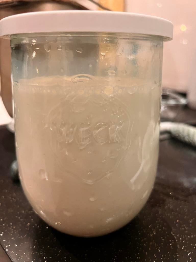 Actieve Melk kefir, Ophalen