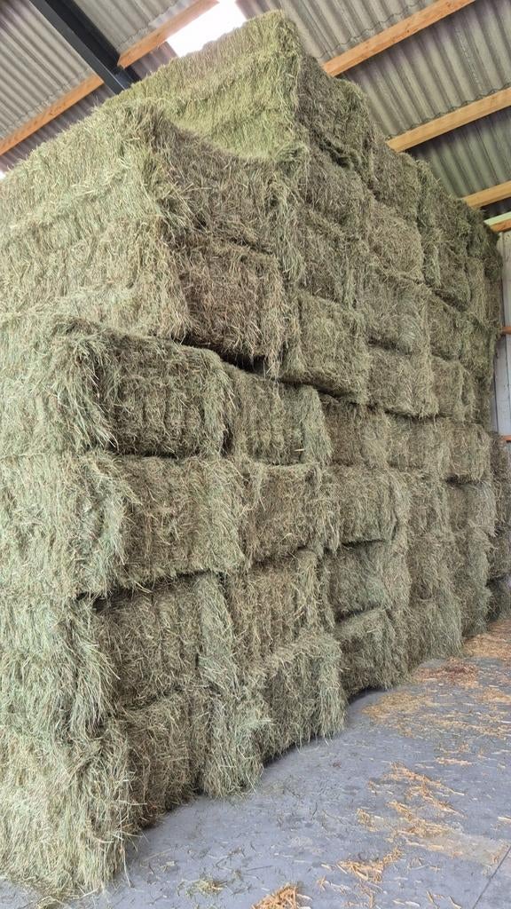 Hooi, stro, weidehooi, tarwestro, lucerne, kuilgras, kuilvoe, Dieren en Toebehoren, Dierenvoeding, Ophalen of Verzenden, Vee